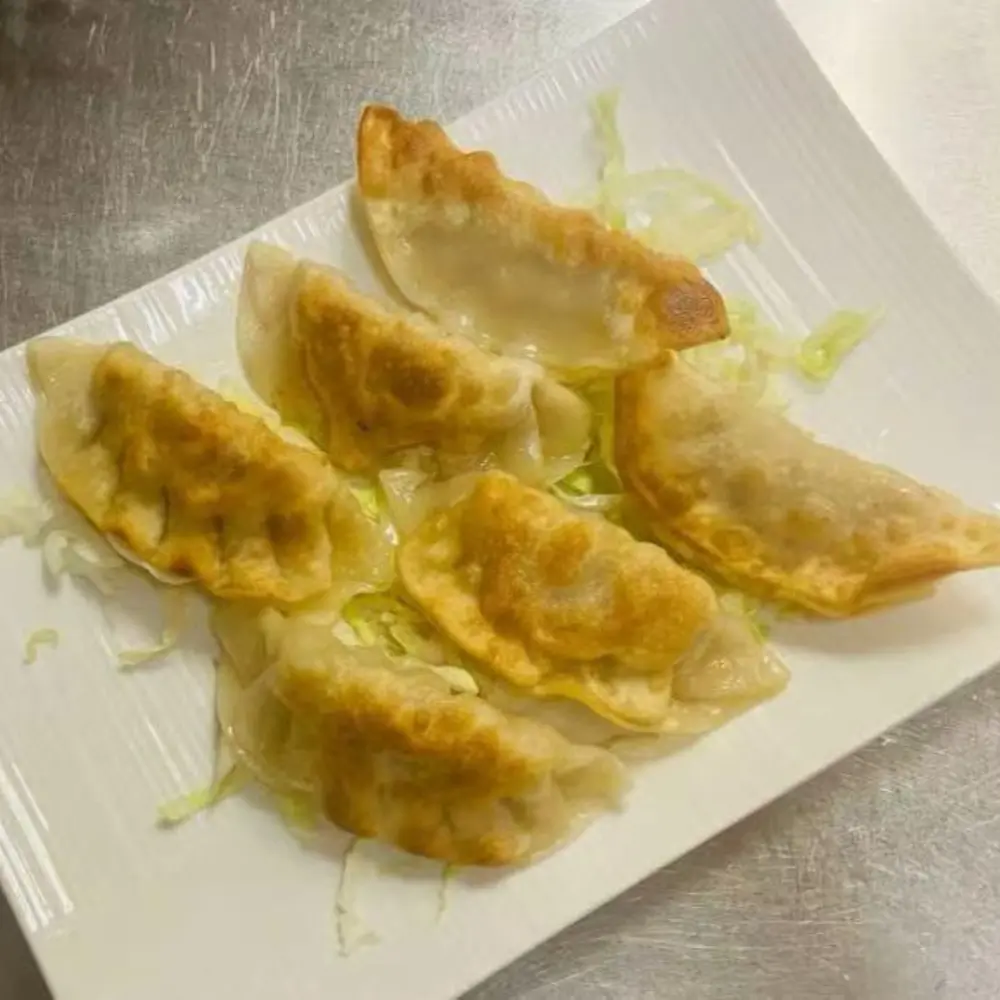 Tasty-Chinese-Restaurant-Potstickers-Newark Crispy potstickers served with cabbage at Tasty Chinese Restaurant, a Chinese Restaurant in Newark